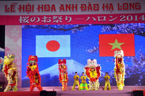 2015年广宁省下龙樱花节4月初拉开序幕